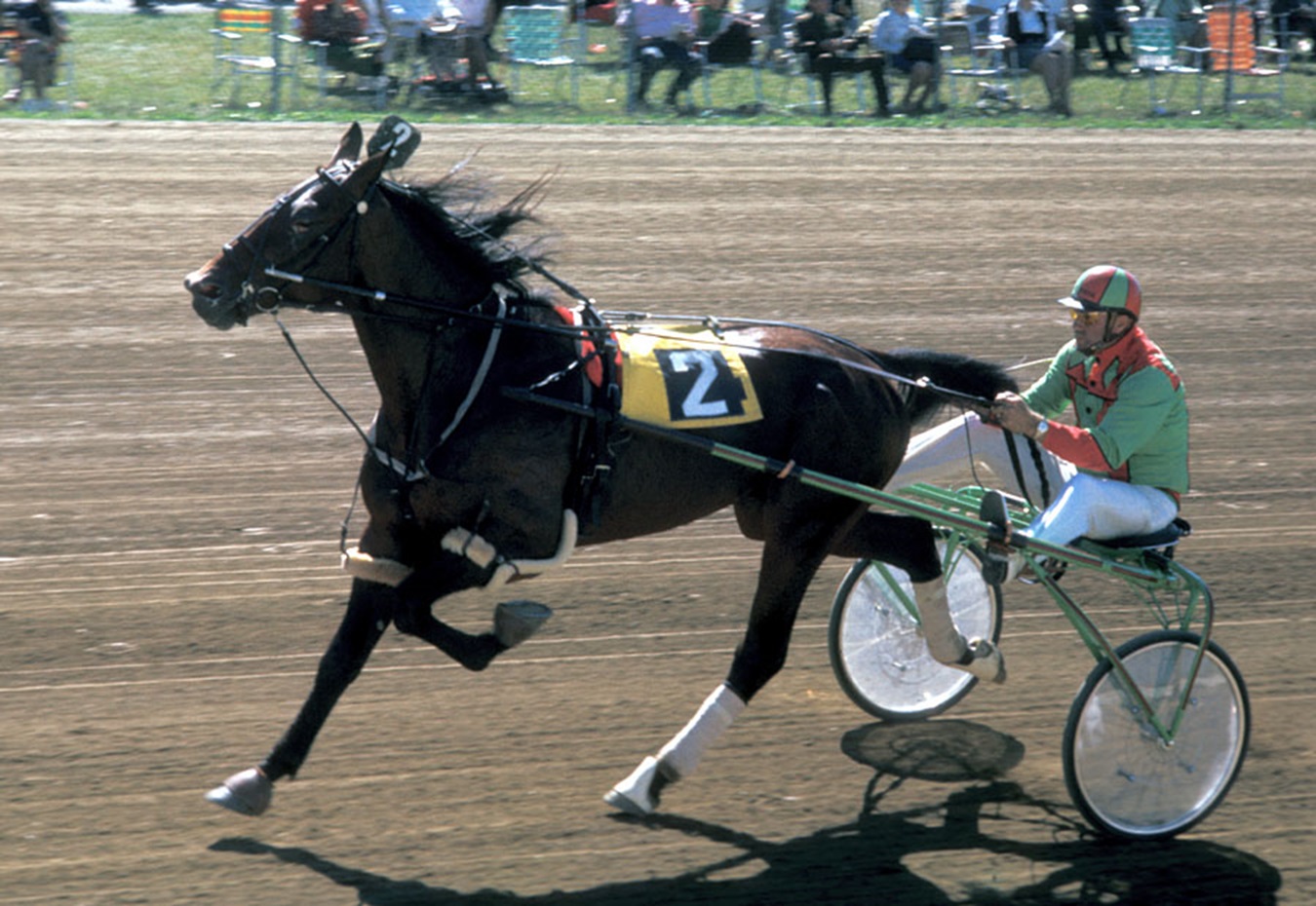 Image of ARNIE ALMAHURST